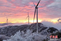 重庆武隆罩云山迎来今冬首场雾凇美景